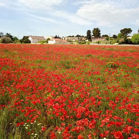 Cosy Privat bolig Nîmes