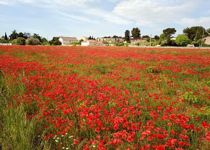 Cosy Kwatera prywatna Nîmes